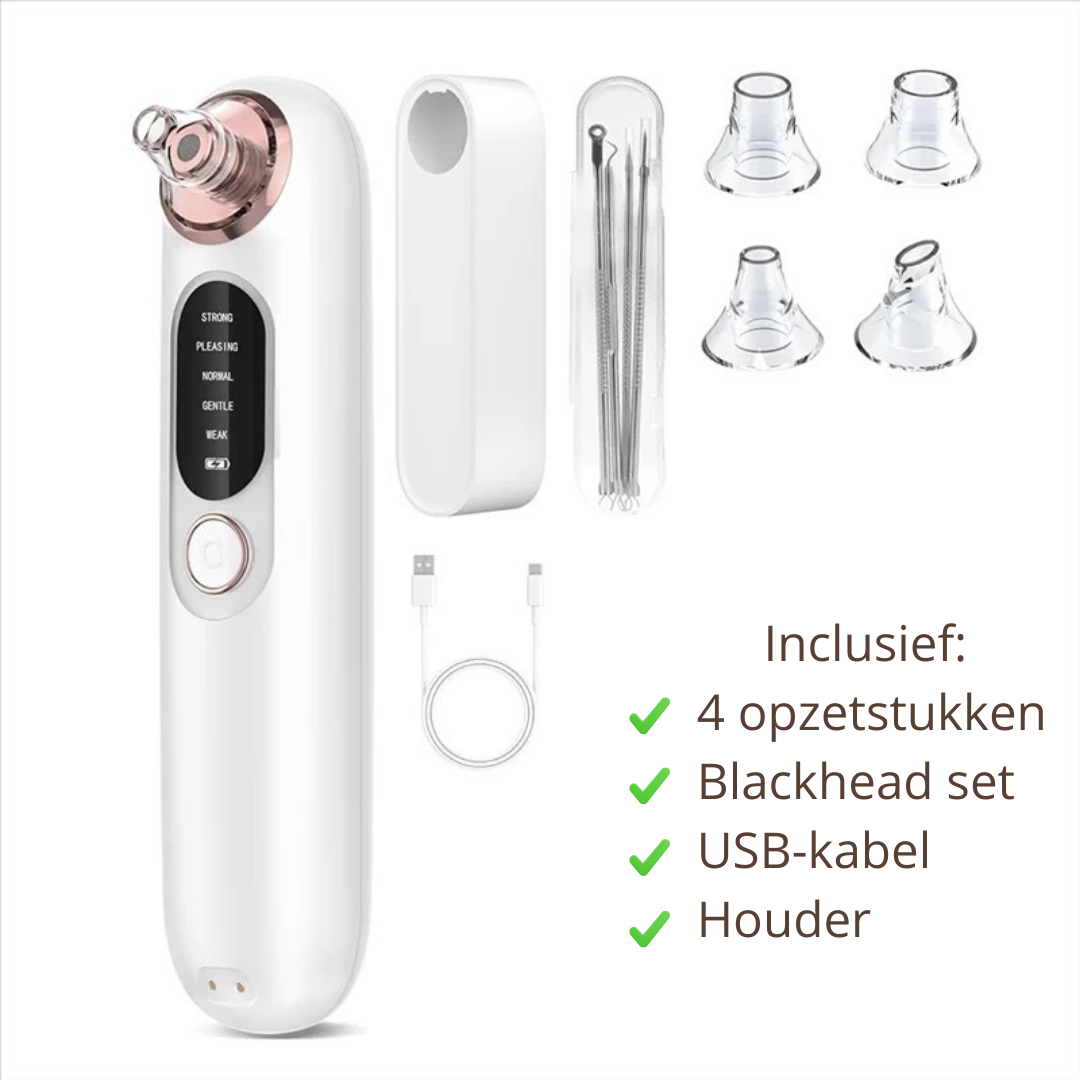 Vacuüm Poriënreiniger