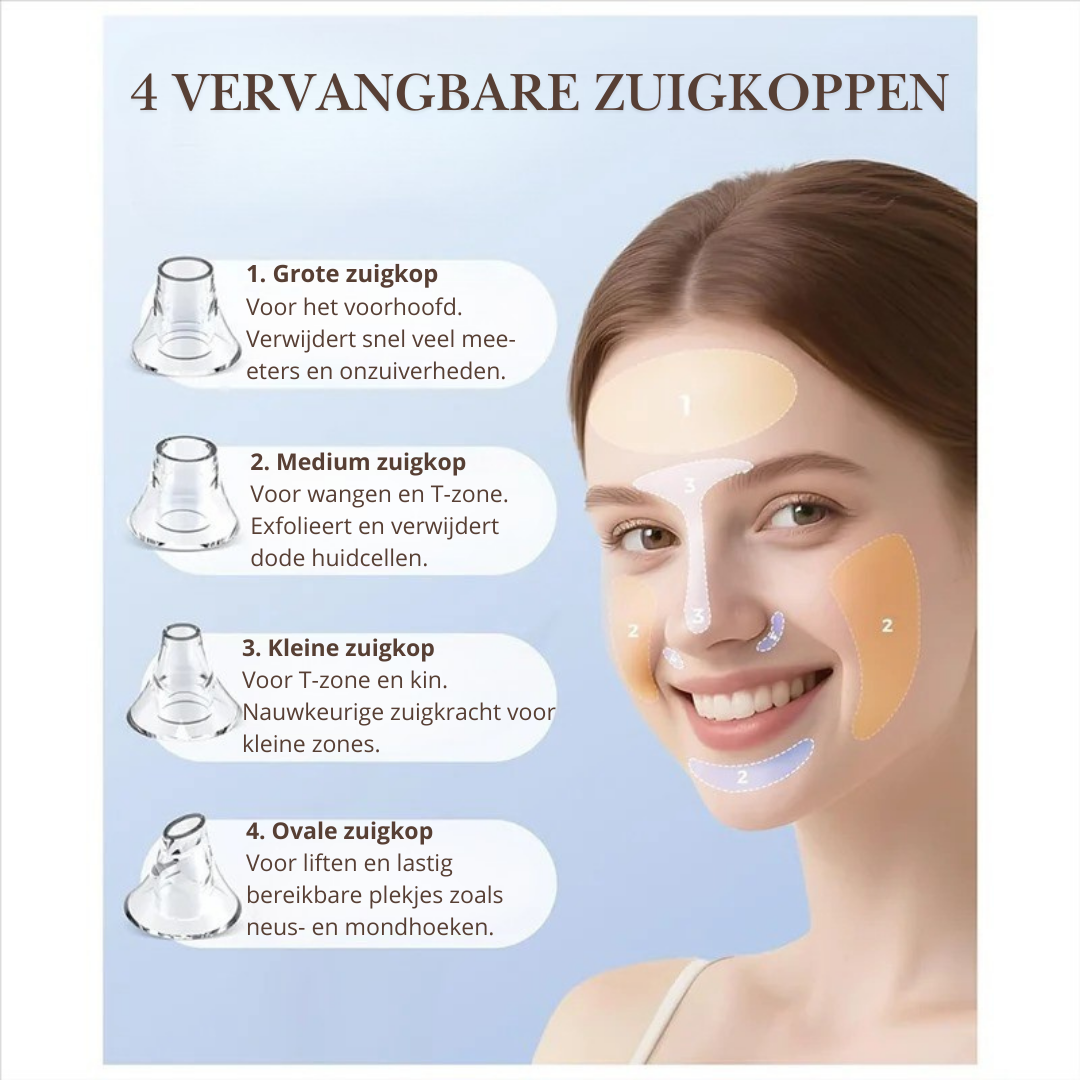 Vacuüm Poriënreiniger